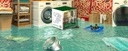 STARTER-KIT - WATER LEAK RISK MANAGEMENT